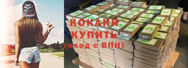 бошки Покачи